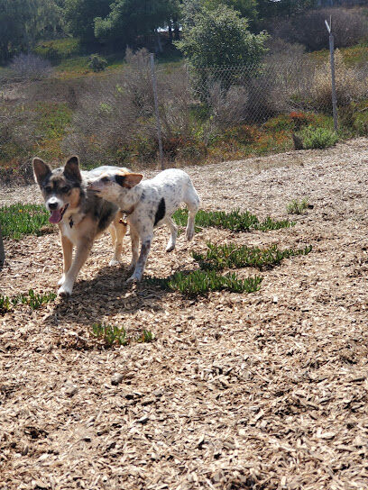 Marshall Park Dog Park