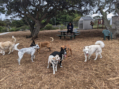 Pacchetti Dog Park