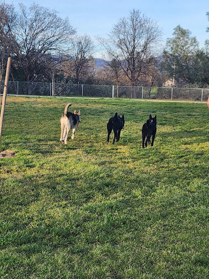 Akard park