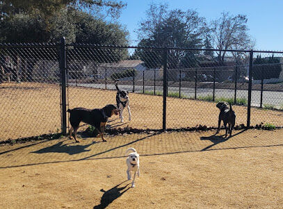 Dog Park | Fair Oaks
