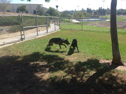 Margarita Dog Park