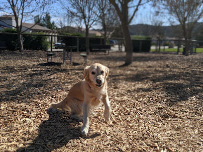 Vineyard Dog Park
