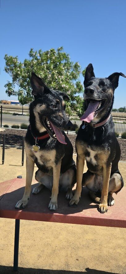 Ellis Dog Park