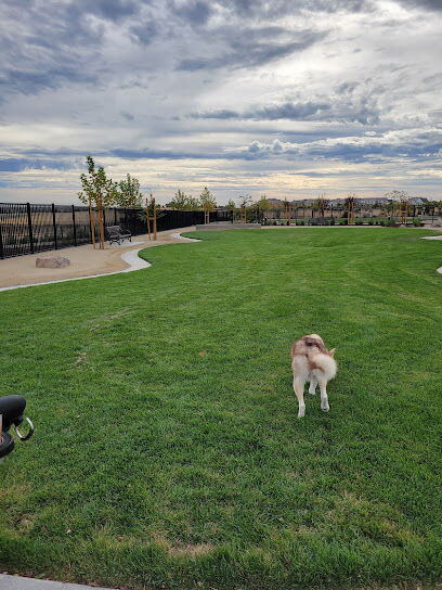Gene Birk Dog Park