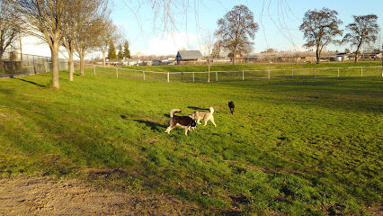 Quaile Rand Norton Dog Park