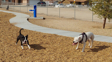 Twentynine Palms Dog Park