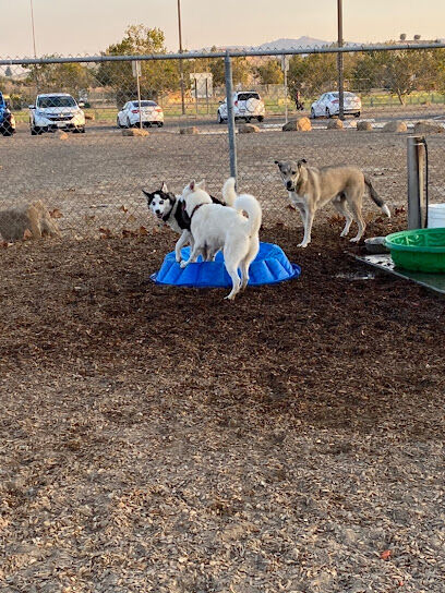 Centennial Dog Park