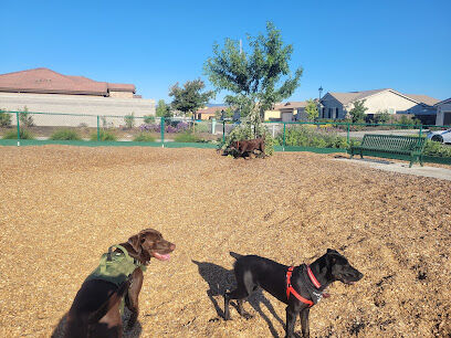 Owl Park Off-Leash Facility