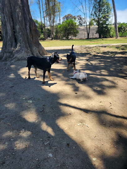 Dog Park - Camino Real