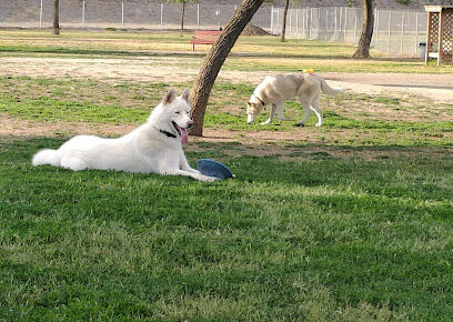Cody Kelly Dog Bark Park