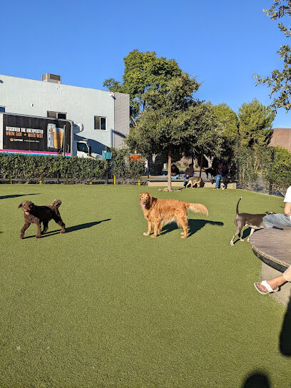 West Hollywood Park Dog Park