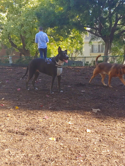 William S Hart Dog Park