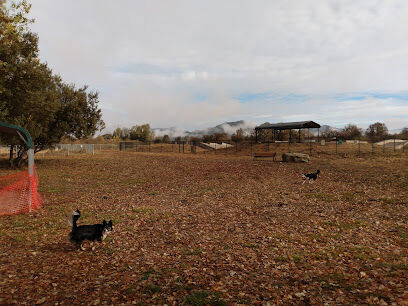 Frank Grasse Dog Park