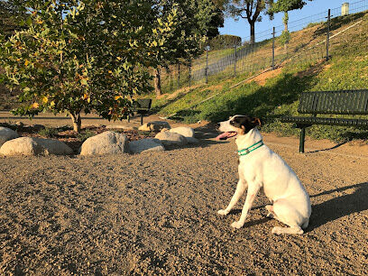 Checkers Dog Park