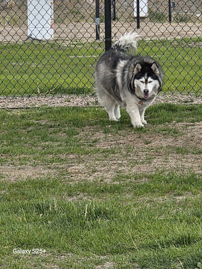Dog Park at Love's Travel Stops