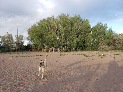 Lee Field Dog Park