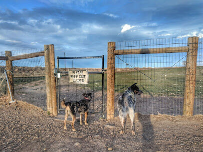 West Arvada Dog Park