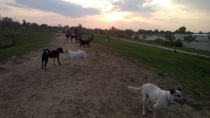 Bicentennial Park Off-Leash Dog Area