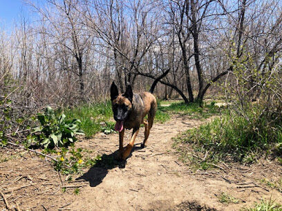 Cherry Creek Dog Park