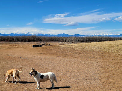 Dog off Leash Area Trail