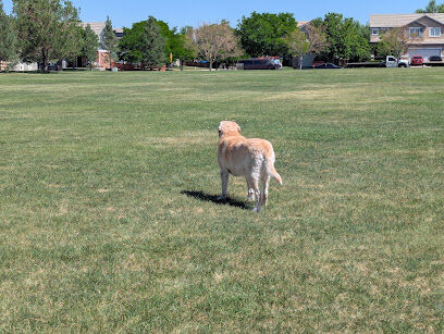 Singletree Park Dog Park