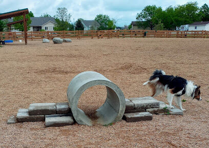 Berthoud Dog Park