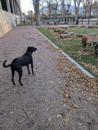 Antlers Dog Park