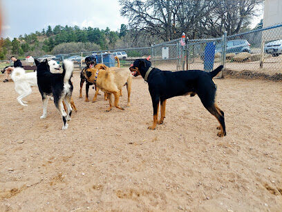 Palmer Park Dog Park