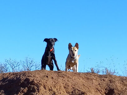Red Rock Canyon Dog Park