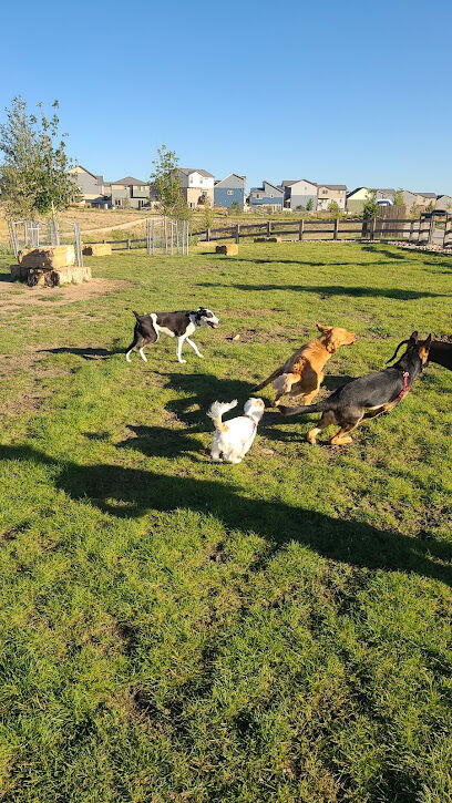 Vista Dog Park