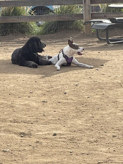 Belleview station dog park