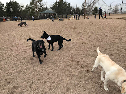 Berkeley Dog Park