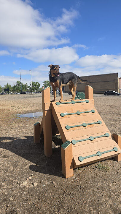 Broadway Bark. Dog park