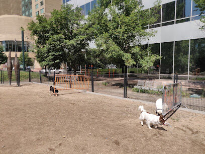 Denver Off Leash Dog Park