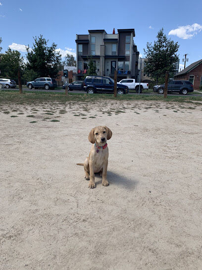 Dog Park
