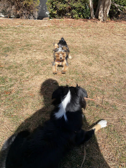 Mint Urban Dog Park