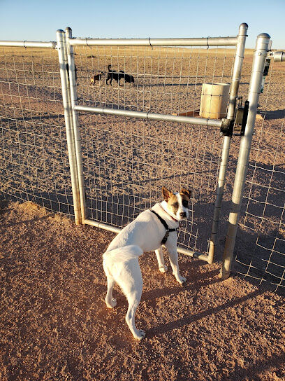 Falcon Regional Dog Park