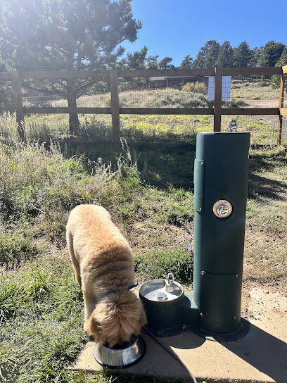 Murphys Mountain Dog Park