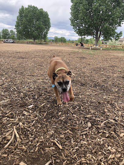 Fossil Creek Dog Park