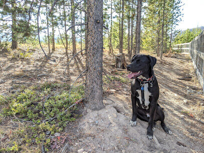 Dog Park YMCA Snow Mountain Ranch