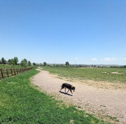 The Great Bark Dog Park