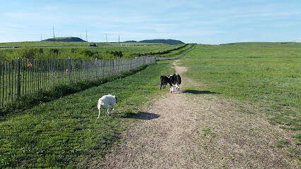 Devon’s Dog Park