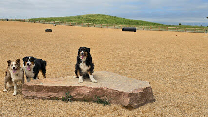 Aisik's Meadow Dog Park