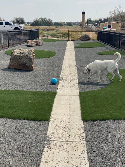 Fowler i25 Kia Community Dog Park