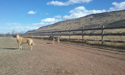 Lyons Dog Park