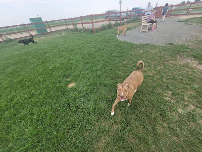 Milliken Dog Park