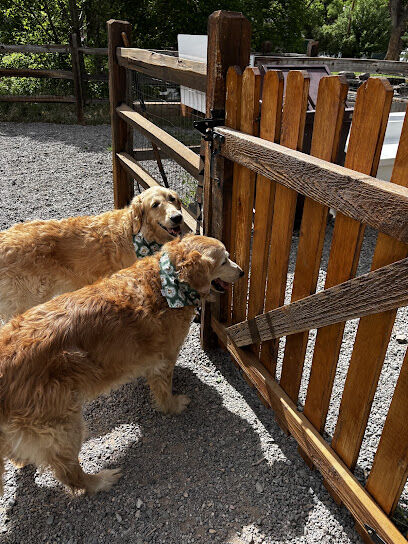 Ouray Dog Park