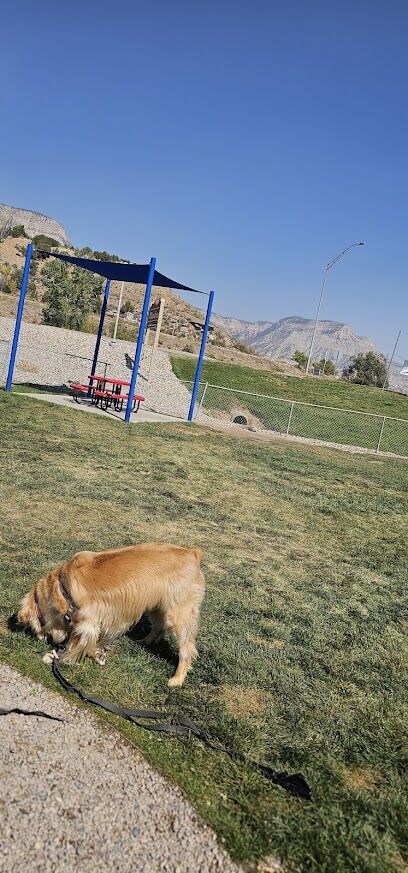 Parachute Dog Park