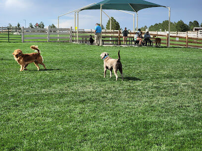 Bayou Gulch Dog Park