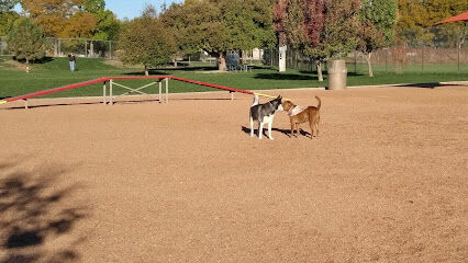 City Park Dog Park